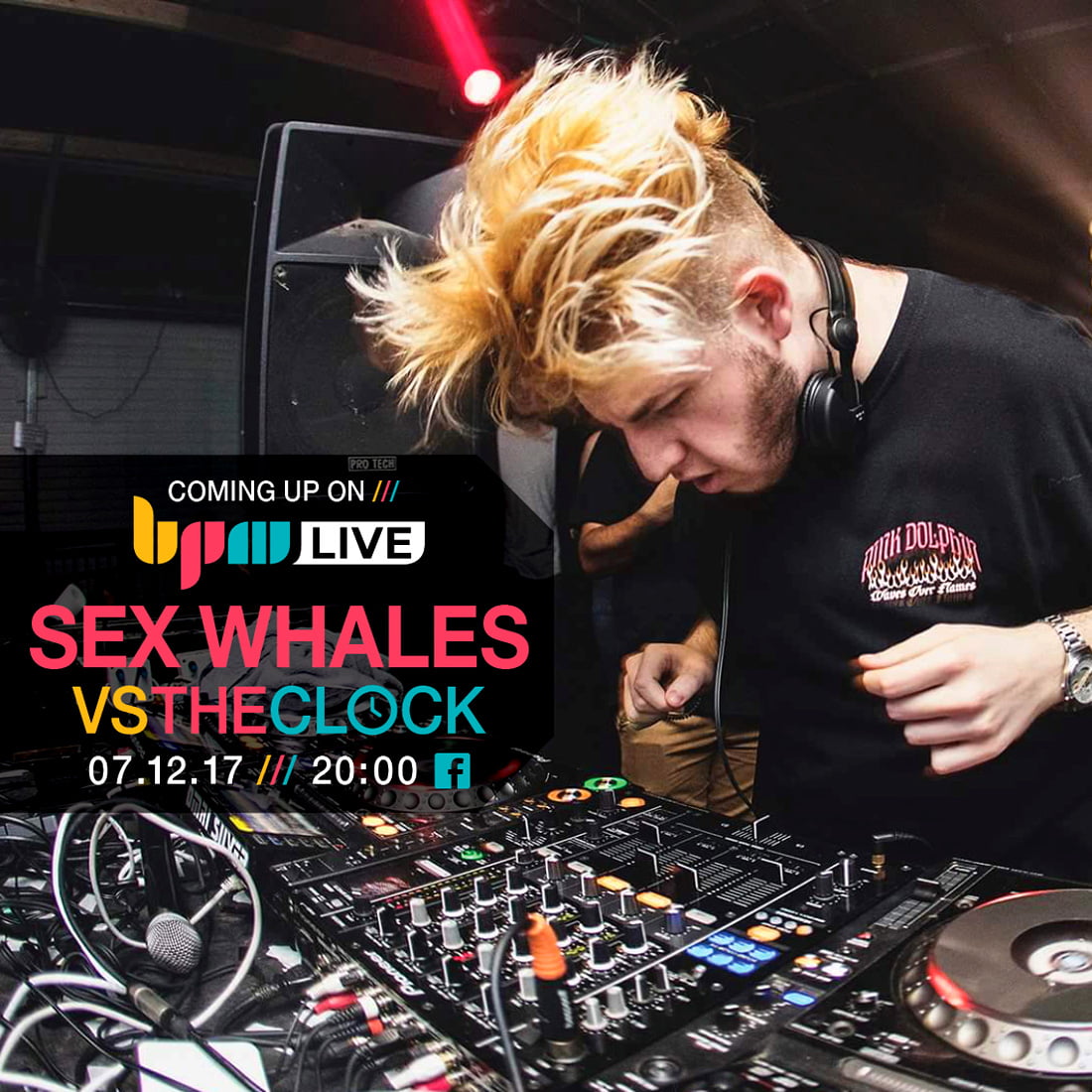 Bpm Live Sex Whales Vs The Clock